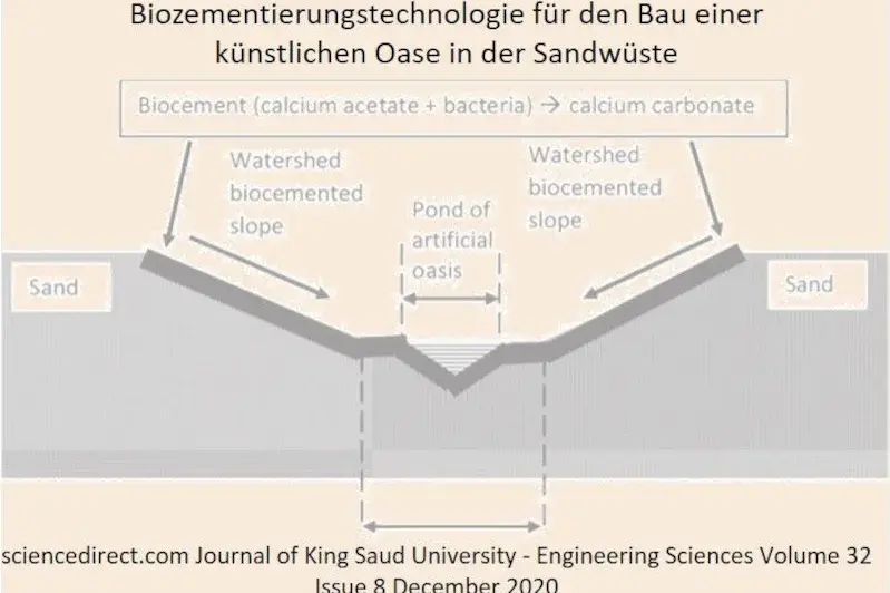 com Journal of King Saud University - sciencedirect.com
