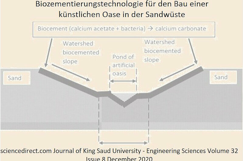 com Journal of King Saud University - sciencedirect.com 